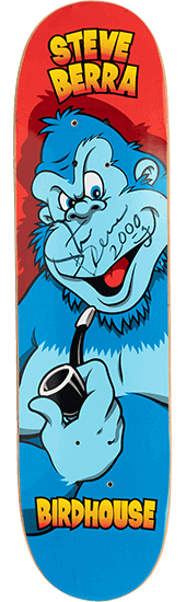 Steve Berra | Birdhouse Projects